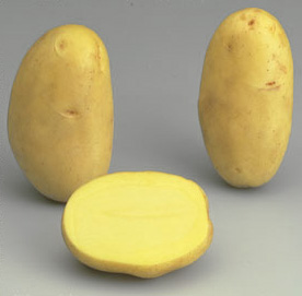 Kartoffel Caesar