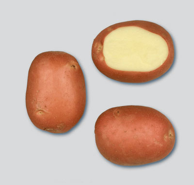 Kartoffel Mozart