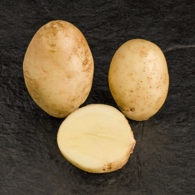 potato Remarka