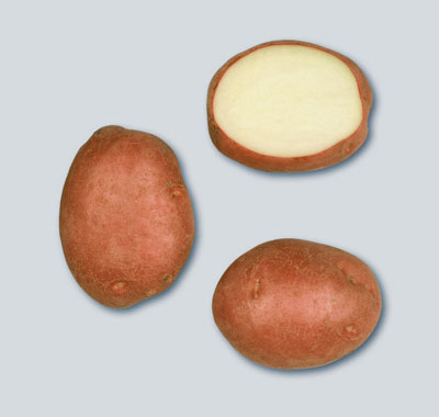 Kartoffel Roko